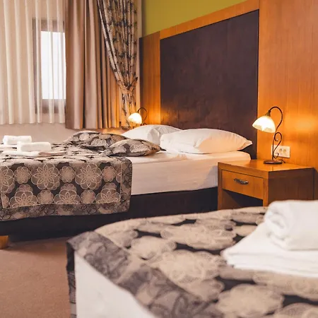 Etno Selo Stanisici Leonida Hotell 3*