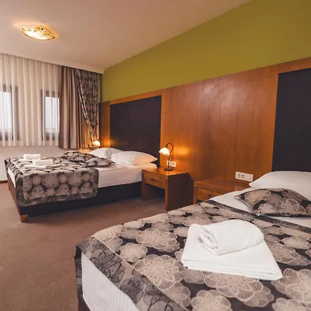 Hotell Etno Selo Stanisici Leonida 3*
