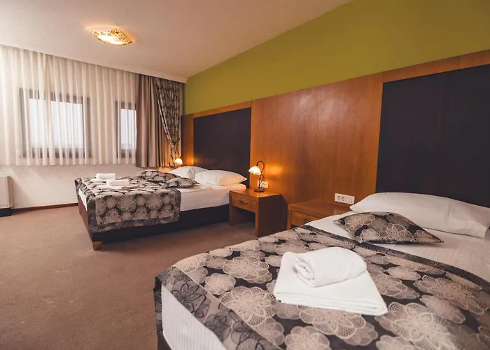 Hotel Etno Selo Stanisici Leonida 3*