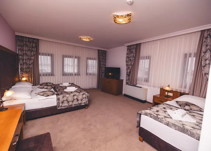 Etno Selo Stanisici Leonida Hotel