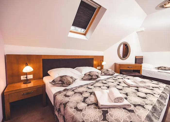 Hotel Etno Selo Stanisici Leonida 3*