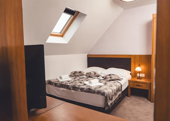 Etno Selo Stanisici Leonida Hotel 3*