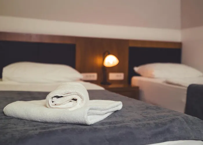 Hotel Etno Selo Stanisici Leonida